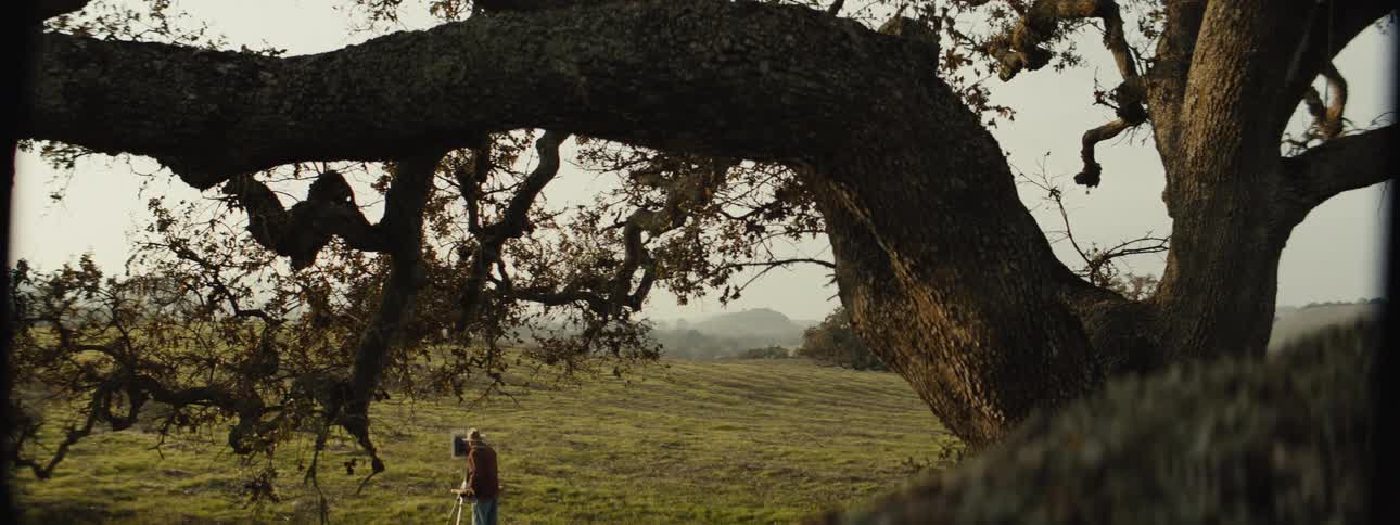 A clip of a person standing beside a tree