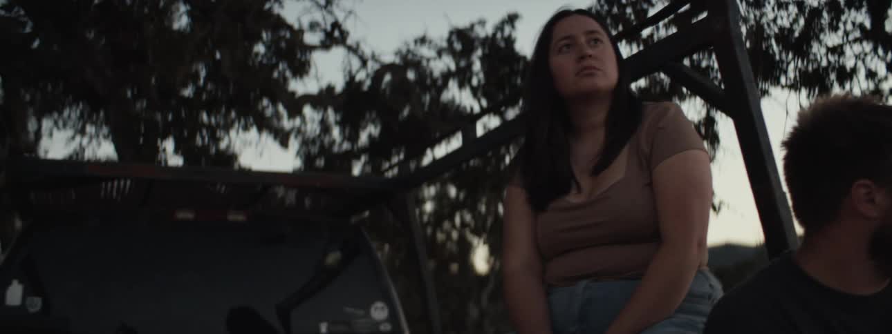Three friends sitting in a truck under a tree