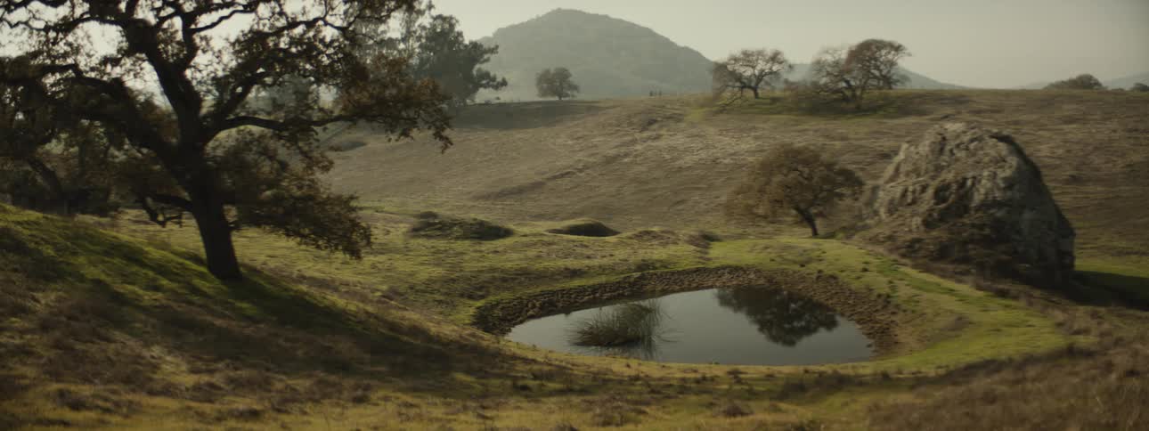 Landscape of a small lake surrounded by a green field