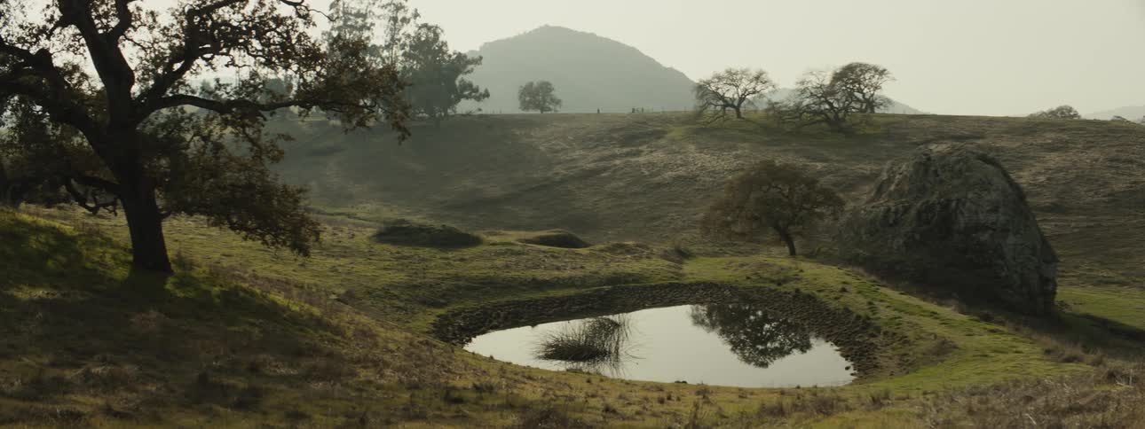 Landscape of a lake surrounded by green fields
