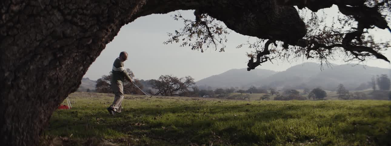Man next to a tree playing golf on an open field