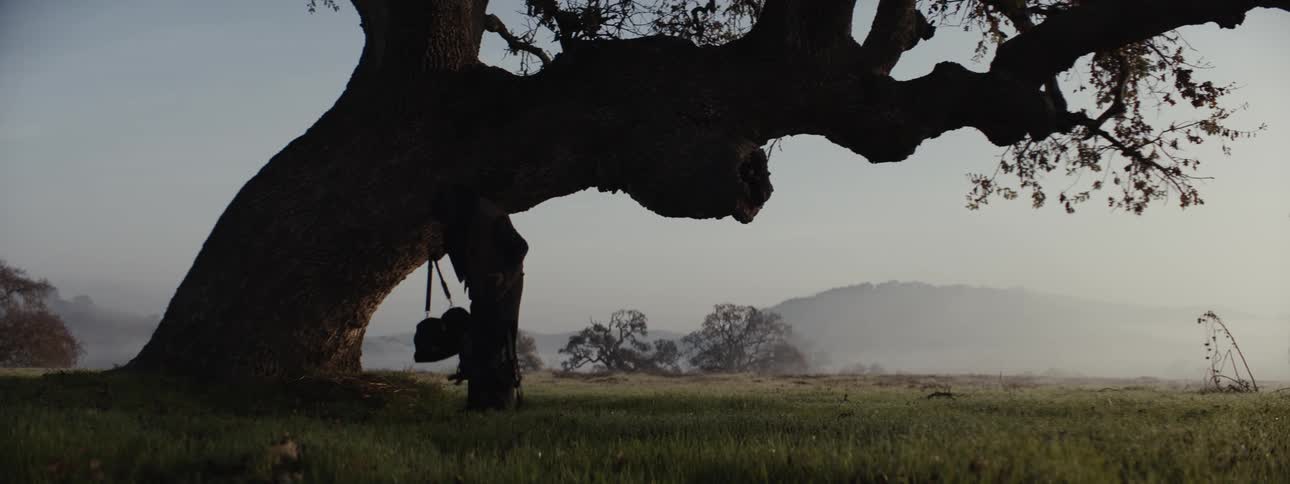 A person who was resting under a tree with lowhanging branches in a grassy field stands up carrying bags