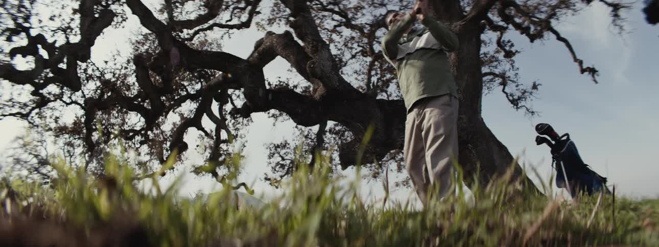 A low angle shot of a golfer hitting a ball in front of a large tree with twisted branches