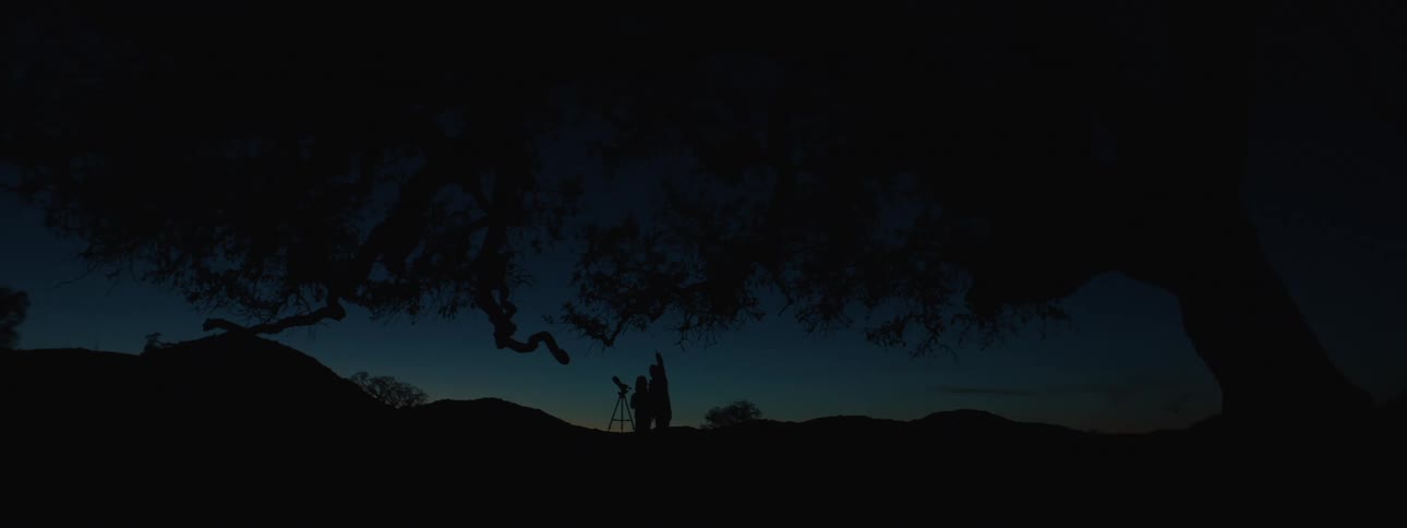 Silhouette of two people in a field at night