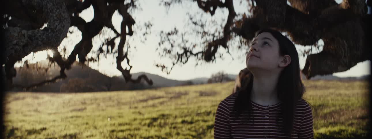 A girl with long dark hair reaches up towards the sprawling branches of a large tree in the lush green field