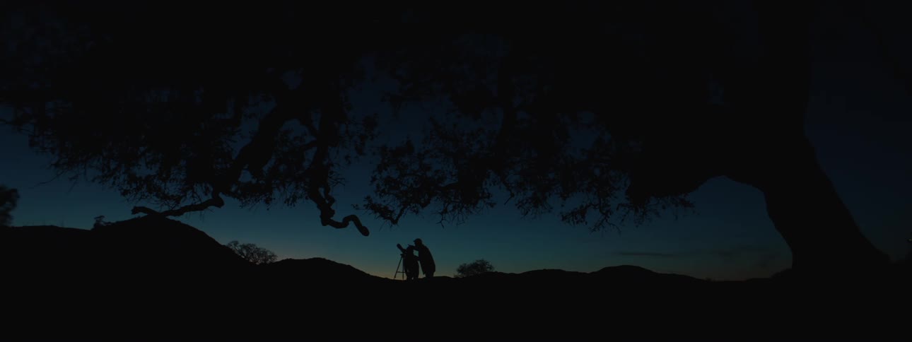Two silhouetted figures stand near a large shadowy tree against a dark rolling landscape under a dimly lit sky one appearing to hold or adjust a telescope