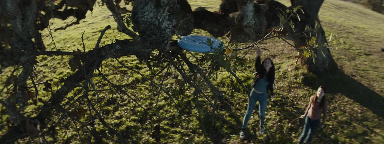 Two girls picking up dry twigs and throwing them towards a tree with a blue frisbee attached