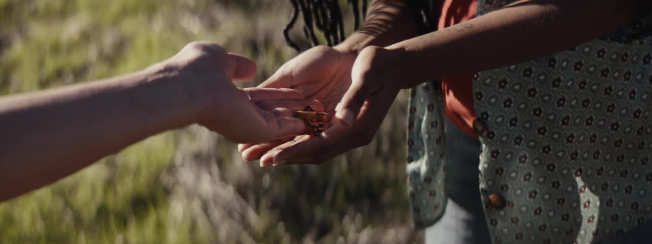 A person is placing a butterfly into the open hands of a woman in an outdoor setting with tall grass in the background