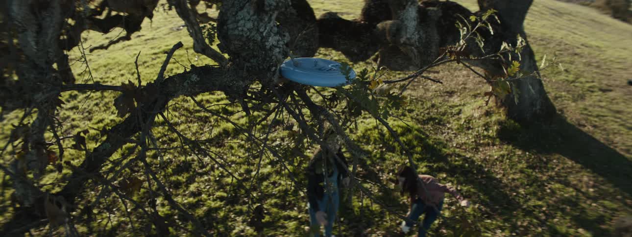 A clip of ladies throwing object at a brisk on a tree branch
