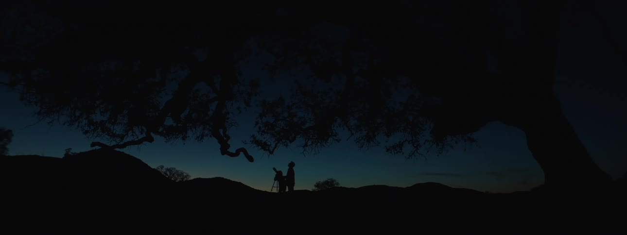 Silhouetted figures stand with a telescope against a dark night sky landscape under a large tree