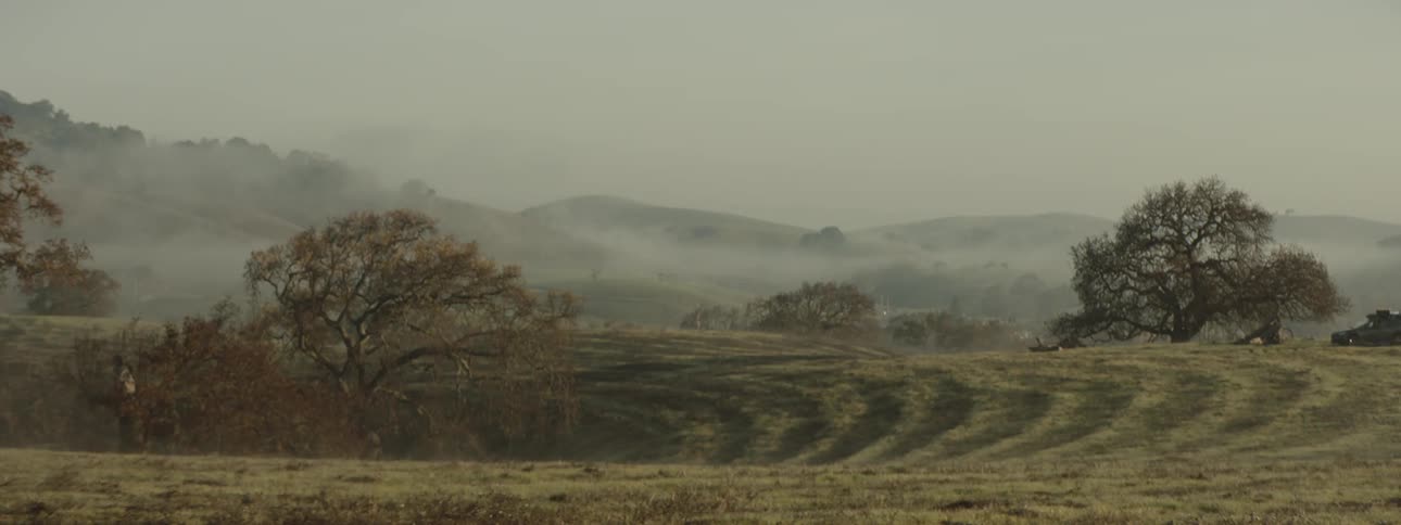 Landscape of a grass field with sparse trees and misty mountains in the background