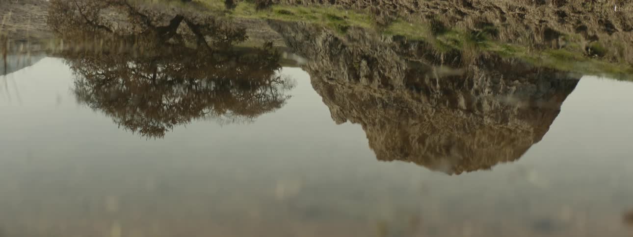 Reflection of a tree and a rock formation appears in a calm pool of water