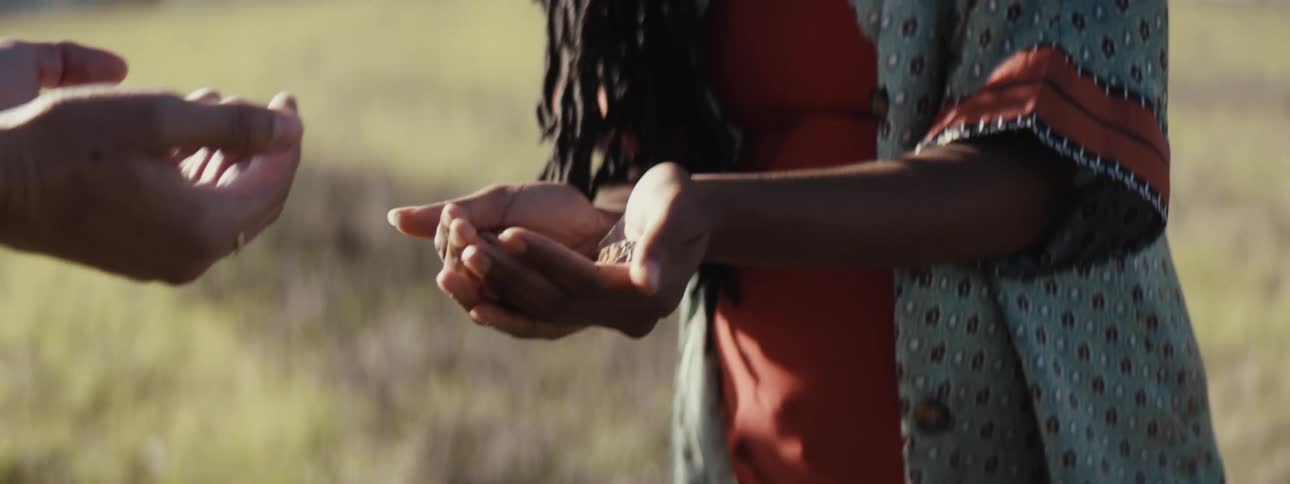 A closeup of a young woman holding a butterfly in her hands while standing on a grassy field