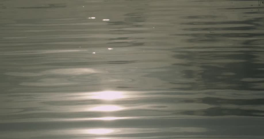 Sunlight reflecting off a body of water