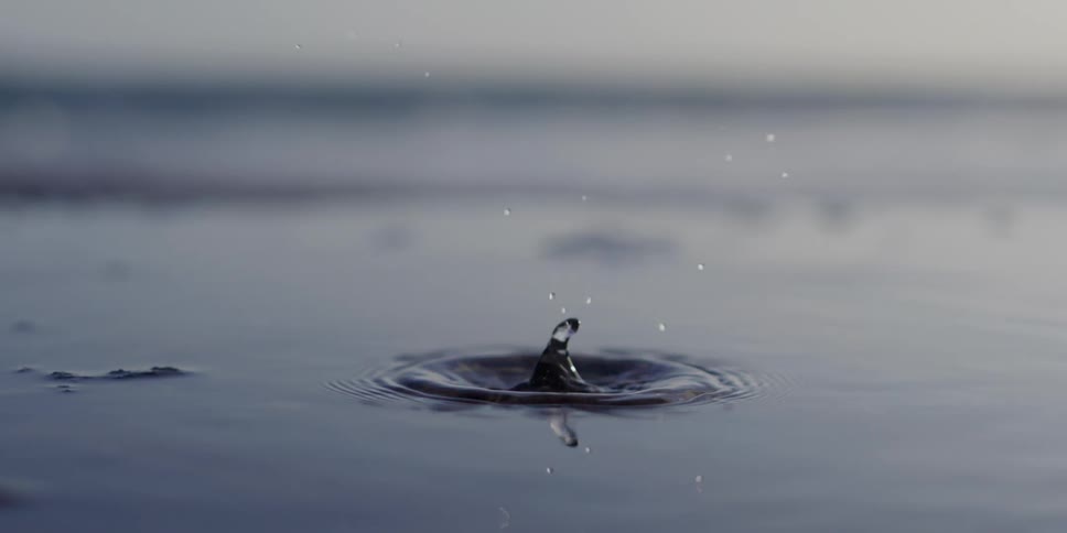 Drops falling into calm waters and generating impact