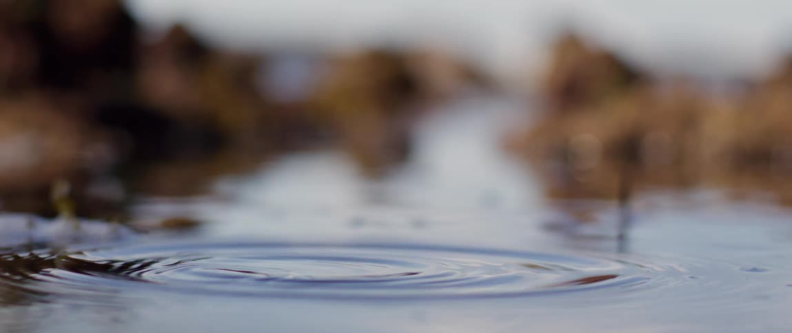 Drops of water falling into a lake