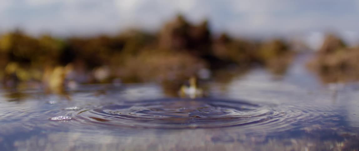 Drops hit the surface of the water creating ripples on a cloudy day
