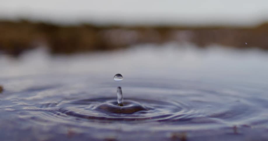 Droplets of water falls into a puddle creating ripples in the still water with a blurred background