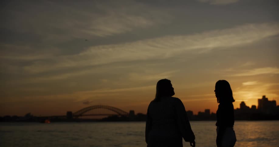 Silhouette of two people talking by the sea with a metropolis in the background