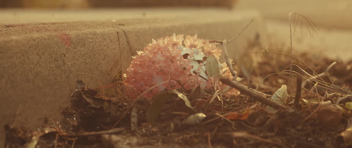 Small abstract ball lying in the middle of the clay