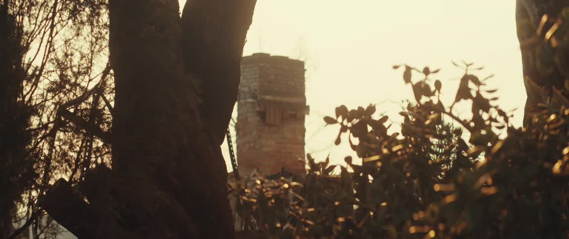 A brick chimney stands tall amidst a dense thicket of trees under a bright hazy sky