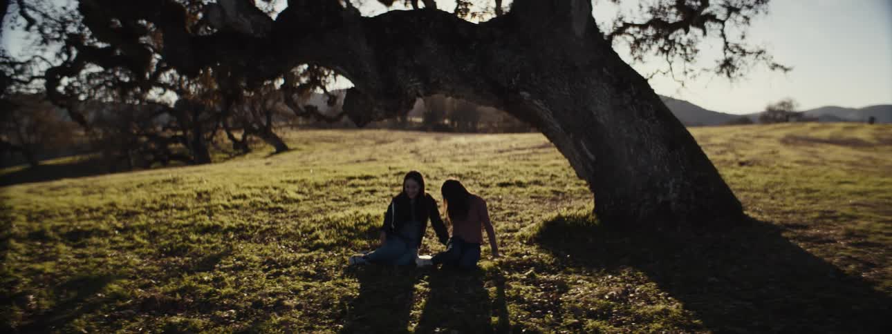 Two young women sit holding hands under the shade of a large tree in a sunlit field