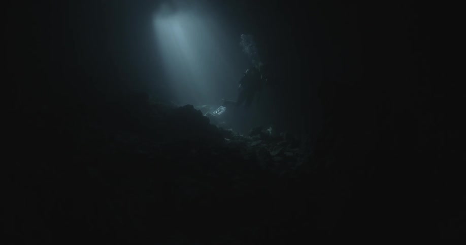 A diver has a light on him in the dark waters