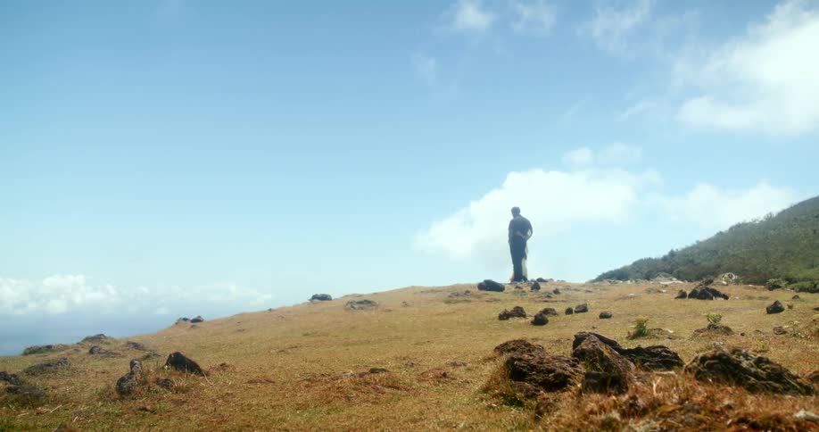 A lone figure stands atop a grassy rocky hill overlooking a vast ocean under a partly cloudy sky