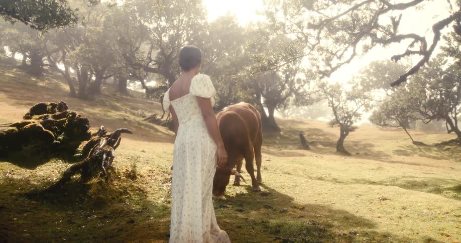Woman in white dress in a green field with trees next to a brown bull
