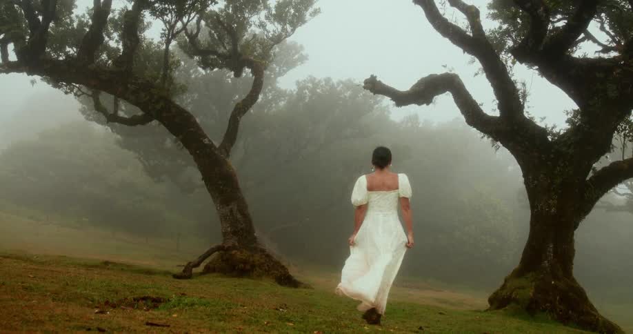 A woman in a white dress walks through a foggy field with gnarled trees
