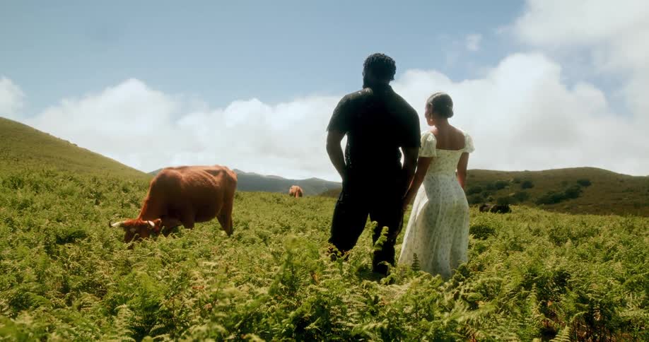 Couple holding hands in a field next to a brown ox