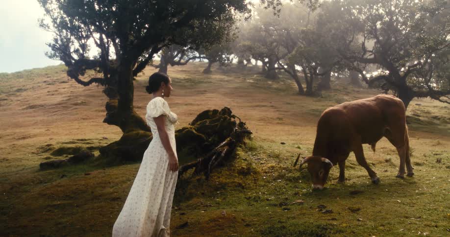 Woman in long white dress walking in a natural area with an ox by her side