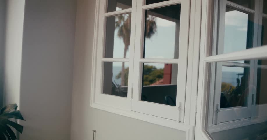 Exterior architecture of a house window reflecting a tropical palm tree