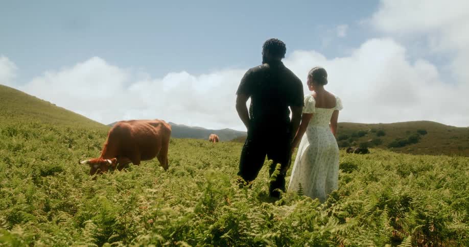 A man and a woman are standing in a lush green field with ferns facing away from the camera observing a brown cow grazing nearby under a partly cloudy sky