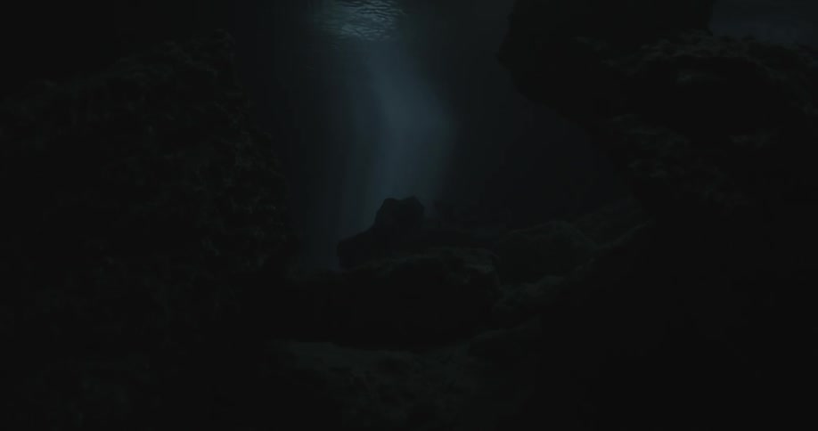 Light from the surface shines on a section of dark water