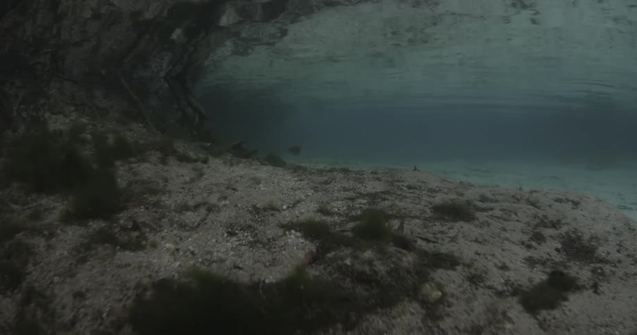 Video showing the ocean empty ocean floor