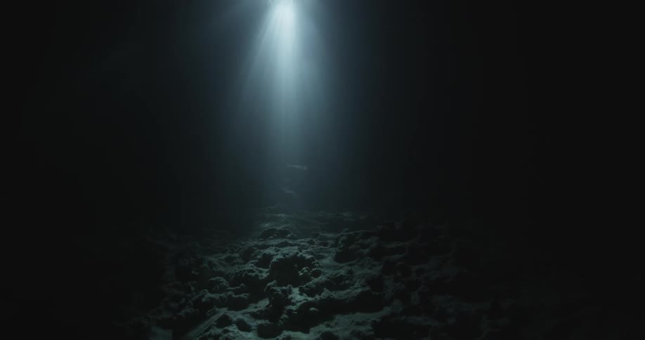Video of the bottom of the ocean