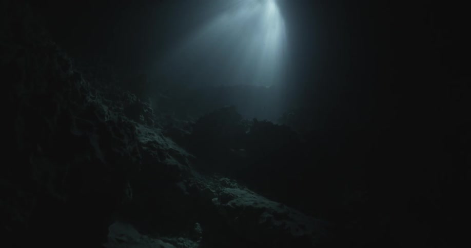 Light shines in the very dark waters from above