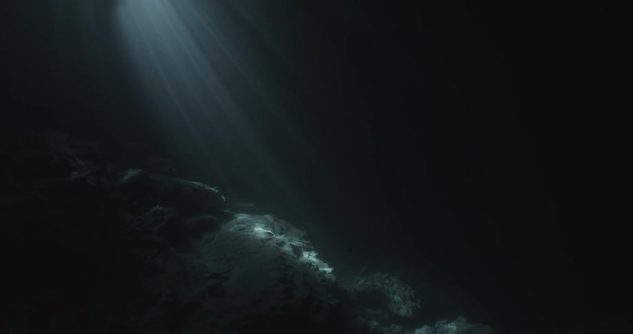 Light filters through the water to the bottom