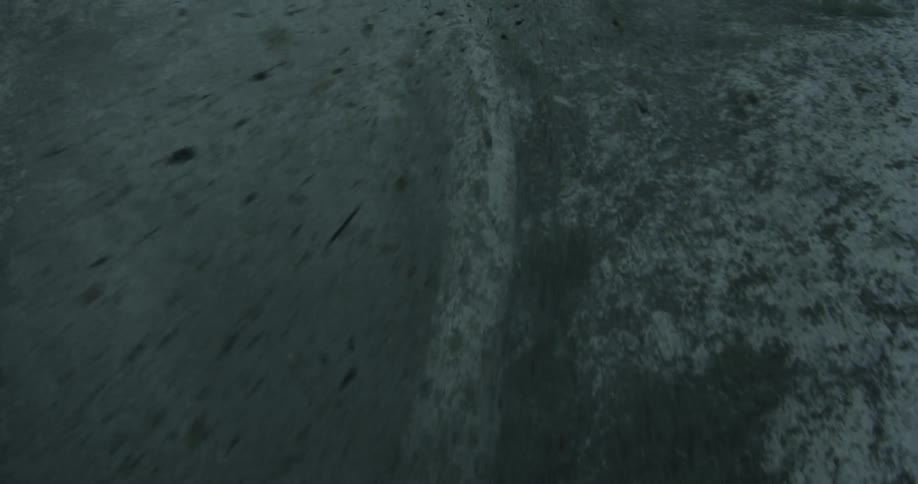 The water is filled with debris