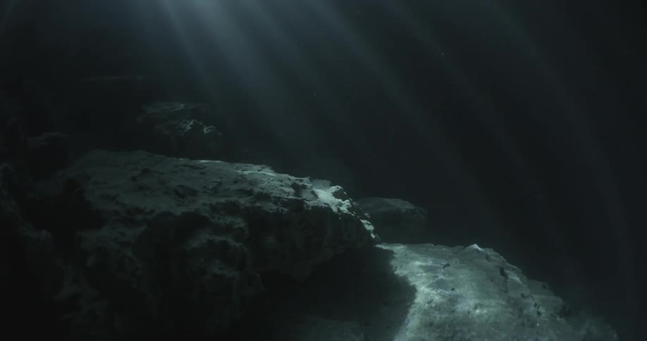 Light filters through the dark water