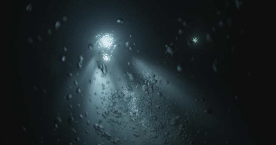 A stream of bubbles are rising toward the ocean surface and sunlight