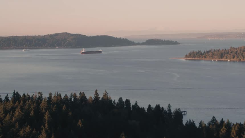 A large cargo ship sails through a calm expansive bay surrounded by forested hills and distant islands under a clear sky