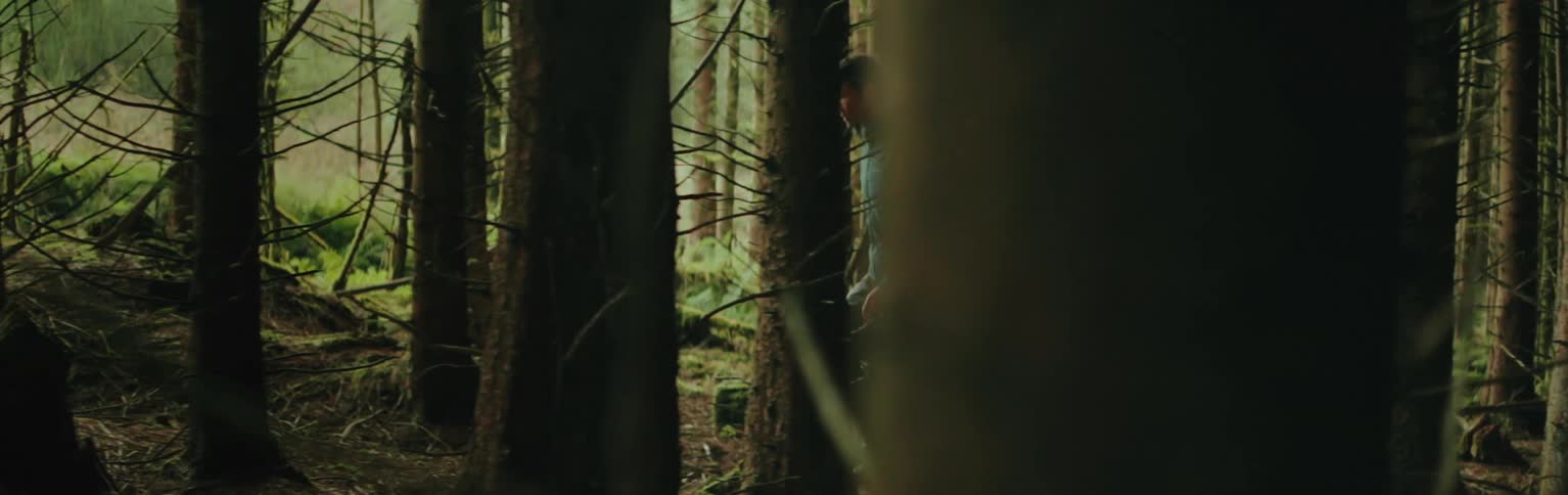 Man walking in the middle of a forest