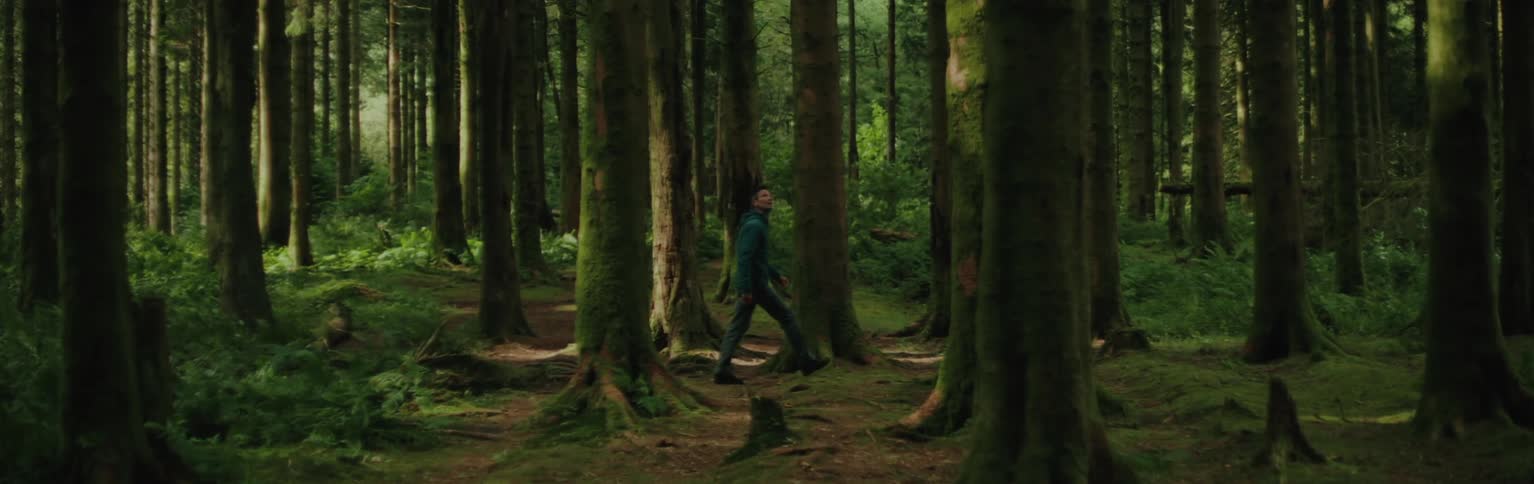 A person is walking through a dense forest with tall trees covered in moss surrounded by lush green undergrowth and a soft earthy forest floor