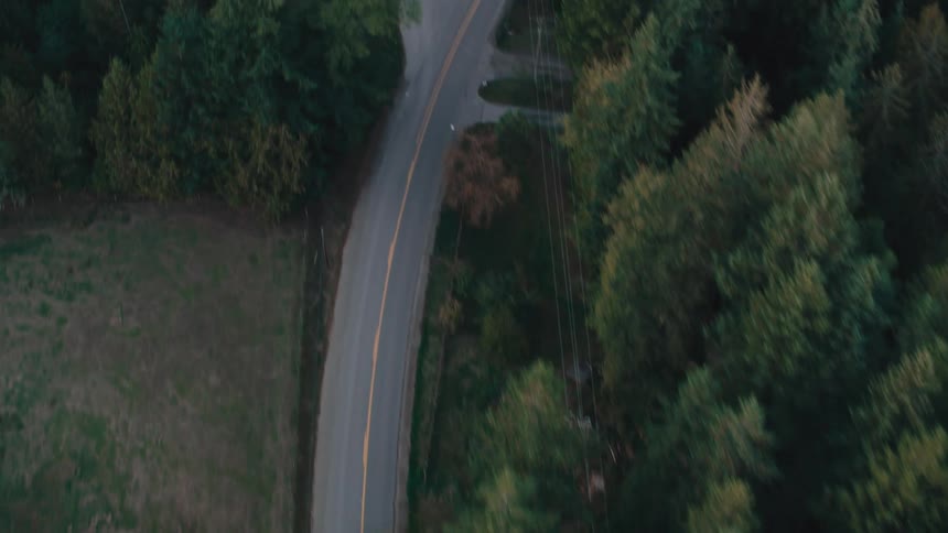 Aerial view of houses built in the middle of a coniferous forest