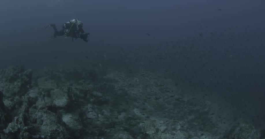 A scuba diver explores along the ocean floor