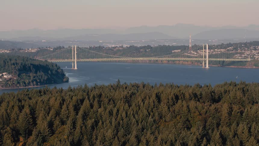 A suspension bridge spanning a body of water surrounded by dense forest in the foreground and a distant cityscape with mountains in the background