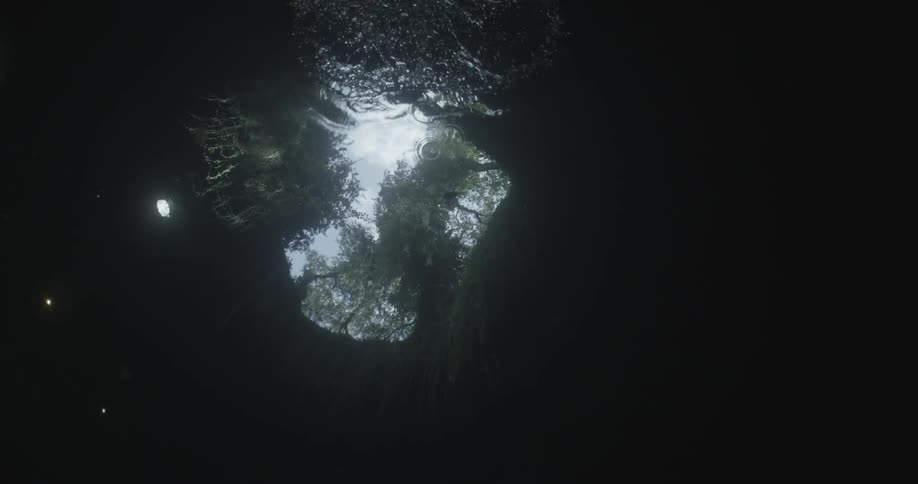 Video from underwater looking up at a cave entrance