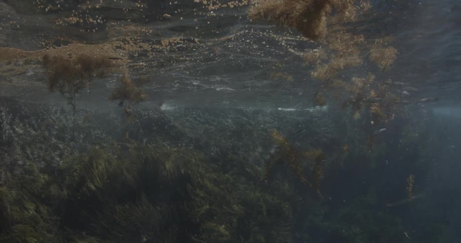 A cameraman filming along the surface of the water